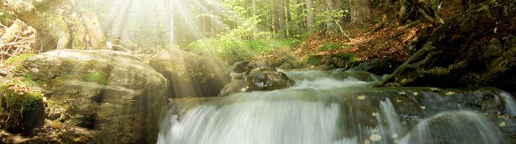 Urlaub im Bayerischen Wald